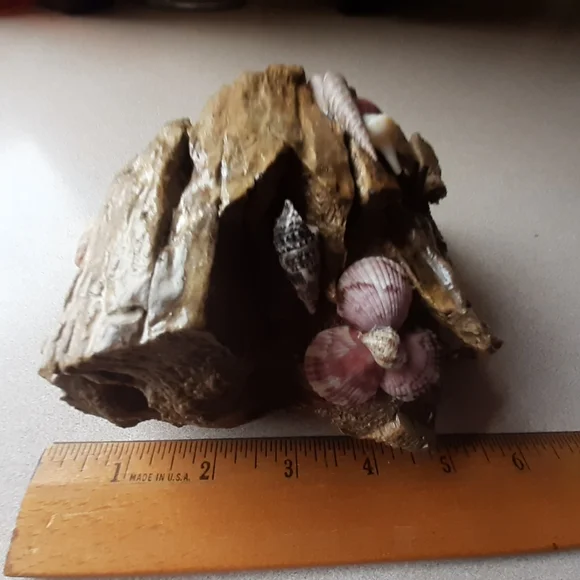Driftwood and Shell Ornament - Picture 3 of 3